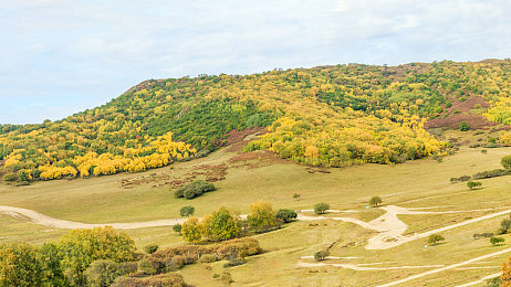 操一操干一干：都市生活新选择，全民运动享健康-1