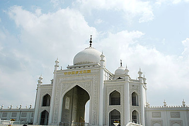 不知火和三个小男孩在森林公园猜数字答案：神秘数字谜题，友谊成长故事传颂-2