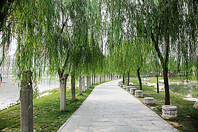 正能量网站www正能量免费破解版：揭秘免费破解版，正能量网站全新体验来袭-2