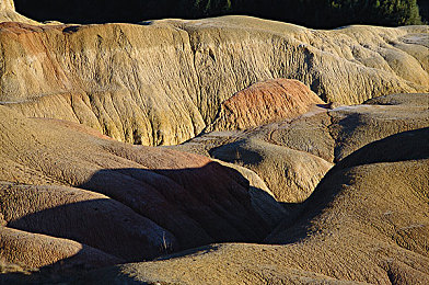海角天涯绿意盎然妈妈:偏僻农村母爱筑梦,绿意盎然家训传承-4