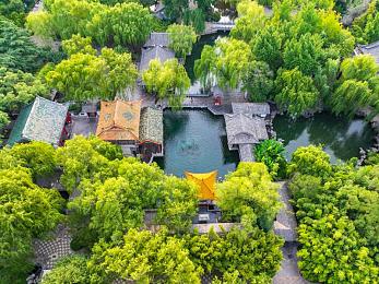 婷婷五月天丁香花：百年丁香花海，五月天浪漫绽放-2