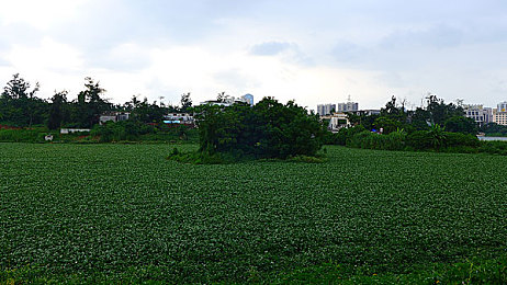 欧美搡BBBBB搡BBBBBB:欧美联手中国,开启创新合作新时代-1