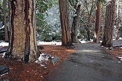 欧美卡一卡二卡三:卡牌冒险新篇,百万玩家狂热追捧-5