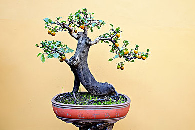 中国少妇毛茸茸：奇幻冒险，中国少妇助阵，游戏新体验-3