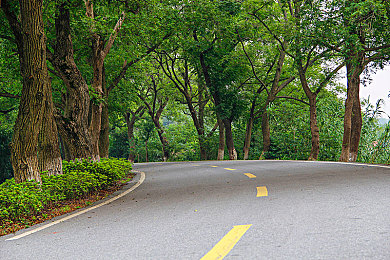 主播视频最新地域网名怎么取：主播取名的艺术：创意地域风，人气爆表！-1