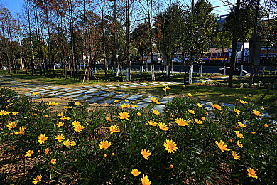 日本老太体内 精品：惊险探秘，日本老太体内世界待揭秘-3