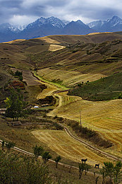 打扑克又叫又疼的视频原声版下载：欢乐扑克聚会，笑声不断来袭-2