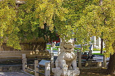 3bXXXx动漫XXXx魅魔:奇幻魅魔冒险,动漫新篇引热议-3