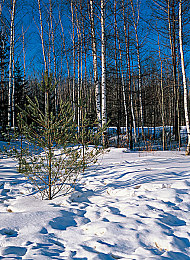 台湾小白脸GAy1069：台湾新星GAy1069，音乐表演双星闪耀-3