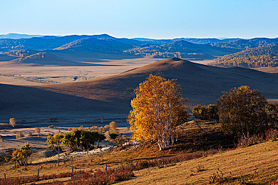 老师用脚帮我设：老师用脚帮学生，温馨一幕感人至深-2