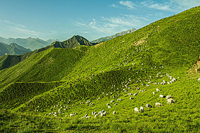 juliaann办公室与黑人:科技企业打造包容职场,黑人员工感受家温暖-2