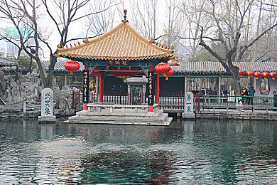 蕾丝视频 成人版app苹果：苹果用户专属：揭秘热门成人内容平台魅力-1