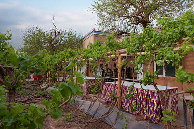 罗宾给乔巴进行青春期治疗：医生罗宾拯救青春期男孩，笑对人生-3