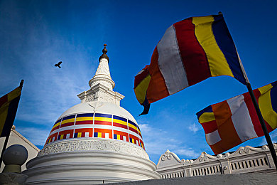 做爱直播：网络直播整治风暴：揭秘“做爱直播”幕后黑幕