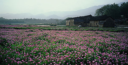 反差黑料:明星人设崩塌?反差黑料引关注-2