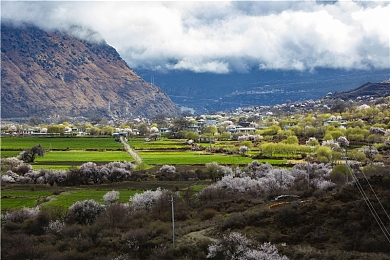 1个 B一个 3人个人换：神秘游戏大礼来袭，B币换独享道具