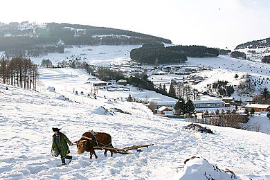 男同被 到爽 流羞羞扒开:网络热传!同性恋短视频引关注,尺度讨论引思考-1