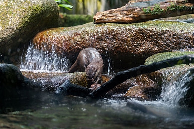 色黄软件大全:软件宝库揭秘:一网打尽生活所需-4