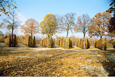 揉我胸 啊 嗯～流水小玩具：宝宝趣言引热议，亲子互动乐翻天-1