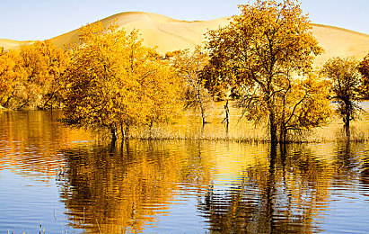 甘雨被旅行者咬出乳液:神秘咬痕引关注,甘雨游玩意外事件-3