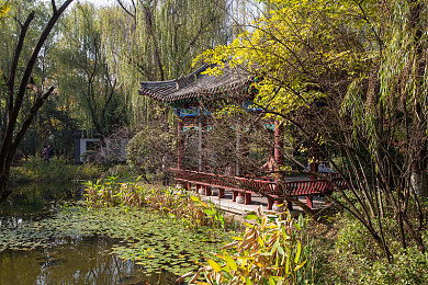 XAX MANTA UZUN HAYA的英文含义:探寻东方韵味,时尚新词“飘逸丝带”揭秘-1