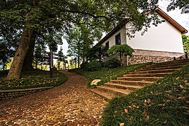 第五人格女生胸罩里面的东西：《第五人格》神秘胸罩，隐藏特殊能力秘密-2