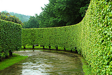 杀头血腥网站黑网入口：黑网惊悚侦探，沉浸体验等你来！-3