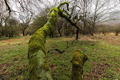 网曝热门事件  泄密：神秘游戏核心泄露，玩家热议不已-2