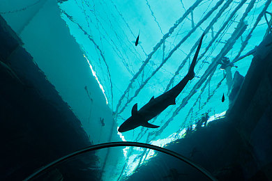 打扑克不盖被子:扑克新玩法走红,创意图案逗趣满满-1