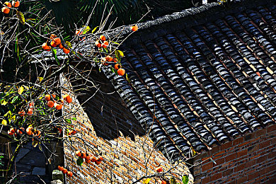 天天干天天色：工作生活平衡新启示：揭秘“天天干，天天色”-2