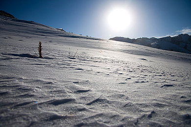 五一吃台北娜娜老师：台北美食之旅，娜娜老师带你探秘