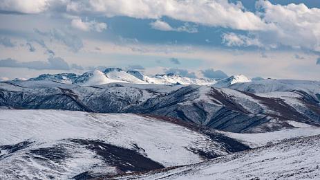 jalap waswas kino品牌介绍：科技新贵崛起，揭秘神秘品牌！-3