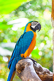 996热：工作狂潮背后：揭秘“996”真相-3