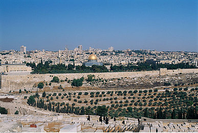 打扑克越来越疼的软件：扑克游戏变“心灵折磨”，玩家越玩越上瘾-1