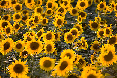 51台北娜娜老师家访2：台北教师家访传递关爱，点亮学生未来-3