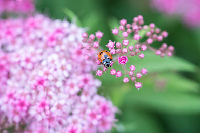 黄色视频应用：游戏新宠：激情时刻，视觉盛宴来袭-1