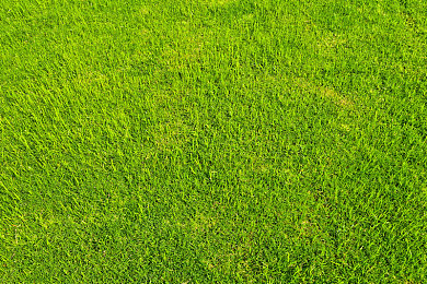 男生和女生搞基视频软件：惊曝：色情直播软件祸害青少年，警惕！-3