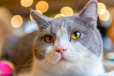 91传媒厂最漂亮三个女演员：游戏女神风采，91传媒厂三美女魅力爆棚-3