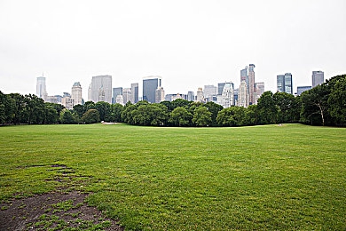 性一交一乱一乱一视频出处:恋爱游戏揭秘:独特剧情引热议-3