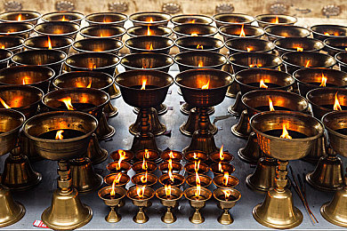 婷婷五月天丁香花：百年丁香花海，五月天浪漫绽放-4