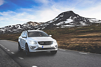 啊∽你tm别 了我的小兔兔：宠物情：小兔兔守护心灵温暖