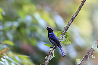 羽毛挠尿孔有多痒：《痒痒冒险》挑战：忍笑挠尿孔，你敢来吗？-3