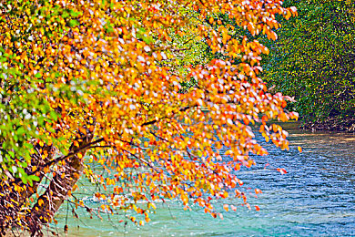 吃瓜网-免费吃瓜万里长征：长征精神新解读，吃瓜乐趣等你来-3