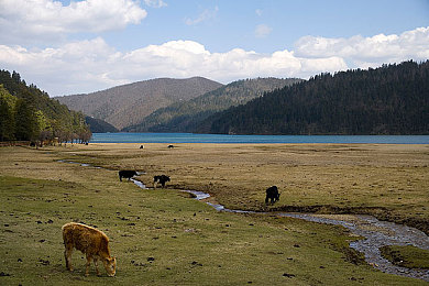 香蕉插进桃桃里：水果冒险奇遇，趣味游戏来袭-3