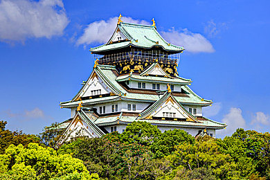 ▇榴莲视频▇在线观看：榴莲全攻略，视频大揭秘-2