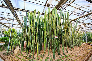 91成人抖音富二代：富二代抖音红人：逆袭新选择-2