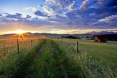 40厘米黑人与中国女人：身高40厘米，异国情侣谱写爱情传奇-3