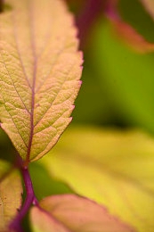 12岁的小孩骑马牙签搅大缸：12岁童玩《我的世界》创意无限，马牙签搅动大缸玩法新潮-4