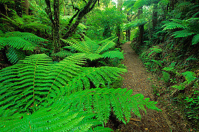 四个校花洗澡被17个农民工：校花遇农民工，游戏情节引网友热议-3