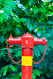 少妇婚房露脸69XX：婚房照片泄露，隐私权引热议-2